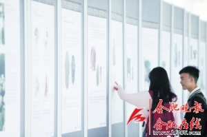 《漢字》巡展 展現漢字文化精華