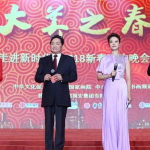2018大美之春走進新時代新春聯歡會在京舉行