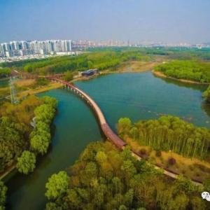清明節踏青好地方就在昆山植物園和百草園以及空中長廊哦！