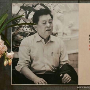 老而時(shí)書之不亦樂(lè)乎_胡振民先生書法作品欣賞