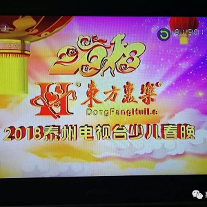 東方惠樂杯“2018.泰州電視臺(tái)少兒春晚”大年初一晚黃金時(shí)間播出