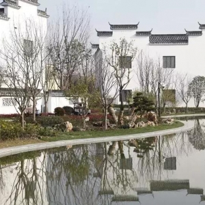 家門口的古徽州你竟不知道？快去打卡上海這座粉墻黛瓦的社區(qū)公園
