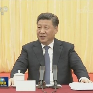 習(xí)近平看望參加政協(xié)會(huì)議的文藝界社科界委員