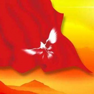 黨旗引領珞巴族百姓走上致富路