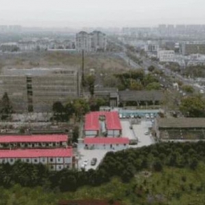 60多歲以色列老校長，為何選擇到上海創(chuàng)業(yè)，第一家公司要開在（上海）創(chuàng)新園