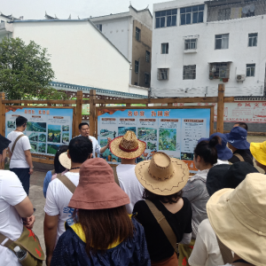 新疆博州年輕干部培訓班赴湖北宜昌市許家沖村開展黨性教育活動