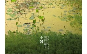 大暑 （二十四節氣之一）
