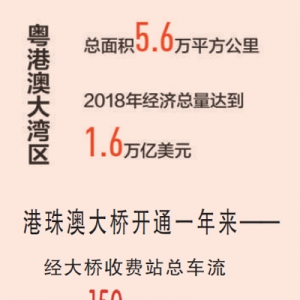 共建國際一流灣區(qū)（壯麗70年 奮斗新時代·區(qū)域協(xié)調(diào)發(fā)展新格局）