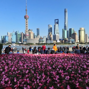 上海街頭花團(tuán)錦簇迎進(jìn)博會 1340萬盆鮮花點(diǎn)綴街頭