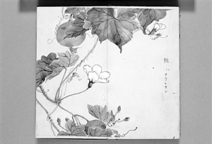 “中國風”與日本江戶詩經學