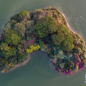 福建漳州：生態碧湖鳥翩飛
