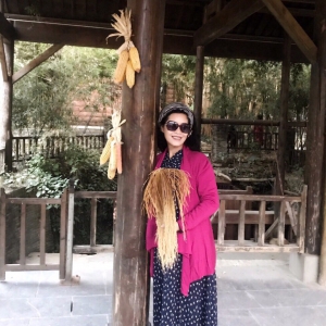 《蝶戀花·文明創建成果詠》