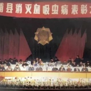 青浦檔案：青浦人民是如何送走“瘟神”血吸蟲病的？