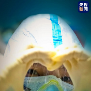上海援鄂英雄凱旋，奚美娟朗誦《若我歸來》，我們在上海等你們回家！