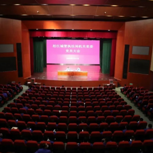 松江區(qū)城管執(zhí)法局召開(kāi)第一屆機(jī)關(guān)黨委委員選舉大會(huì)