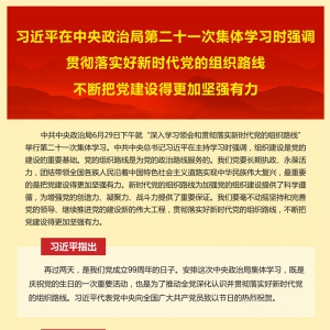 習(xí)近平在中央政治局第二十一次集體學(xué)習(xí)時強(qiáng)調(diào) 貫徹落實好新時代黨的組織路線 不斷把黨建設(shè)得更加堅強(qiáng)有力