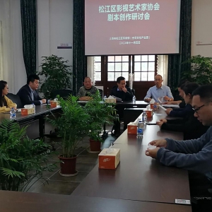 松江區影視藝術家協會劇本創作研討會在叁零文化創意園圓滿舉行