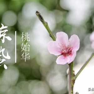 驚蟄前后釣魚，掌握這3個規律，下竿就能中魚