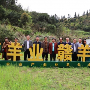江西萍鄉(xiāng)市辭賦學會——杉木采風作品輯
