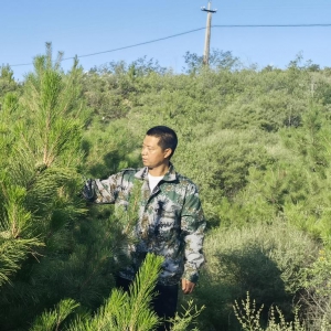 筑牢京津冀生態屏障 河北13萬余名林長守護綠水青山