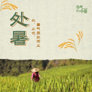 節氣里的中國丨處暑：最好新秋時