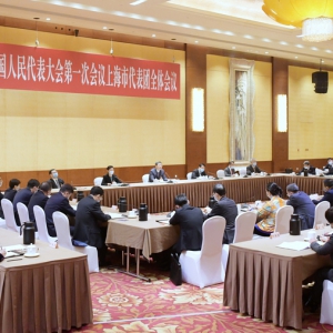 陳吉寧參加上海代表團(tuán)審議：奮力譜寫中國式現(xiàn)代化的上海新篇章