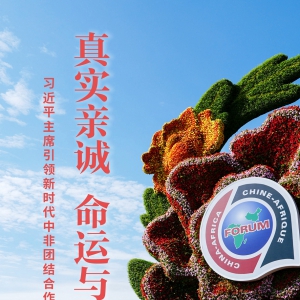 真實(shí)親誠 命運(yùn)與共——習(xí)近平主席引領(lǐng)新時(shí)代中非團(tuán)結(jié)合作述評
